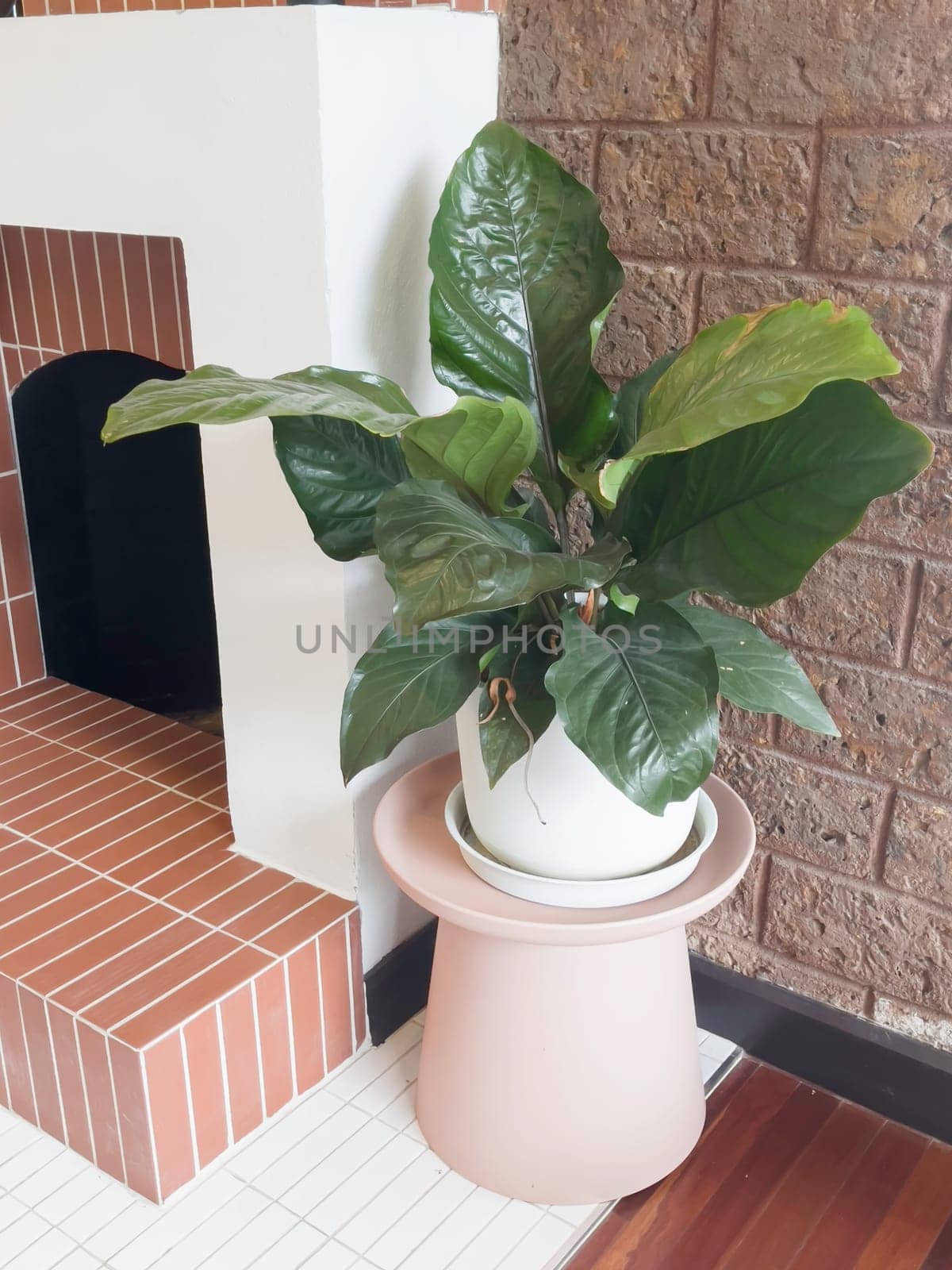 Room interior coffee shop with comfortable furniture, stock photo