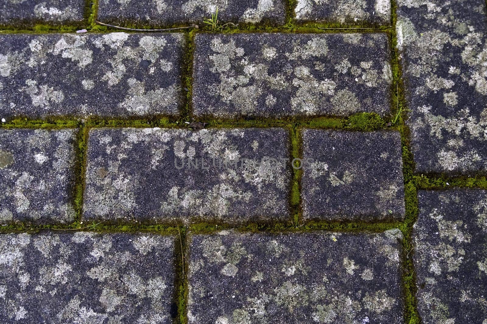 Floor detail of old cobblestones in a pedestrian walkway