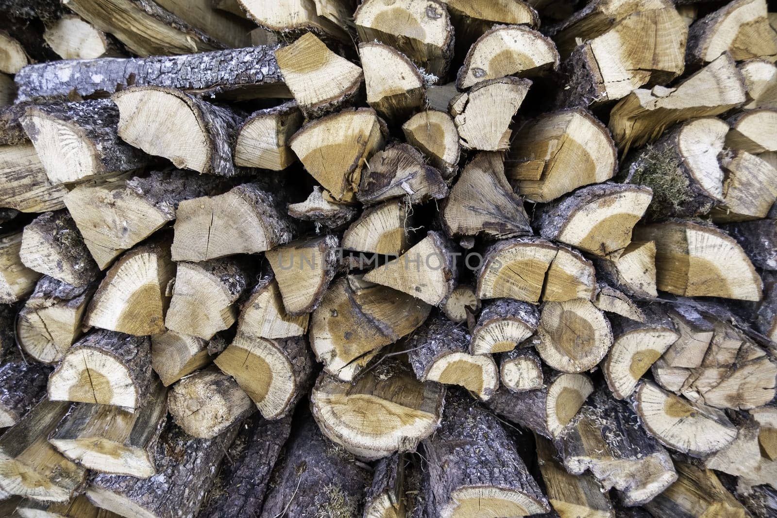 Detail of pieces of tree wood to burn, firewood and heat in the cold winter