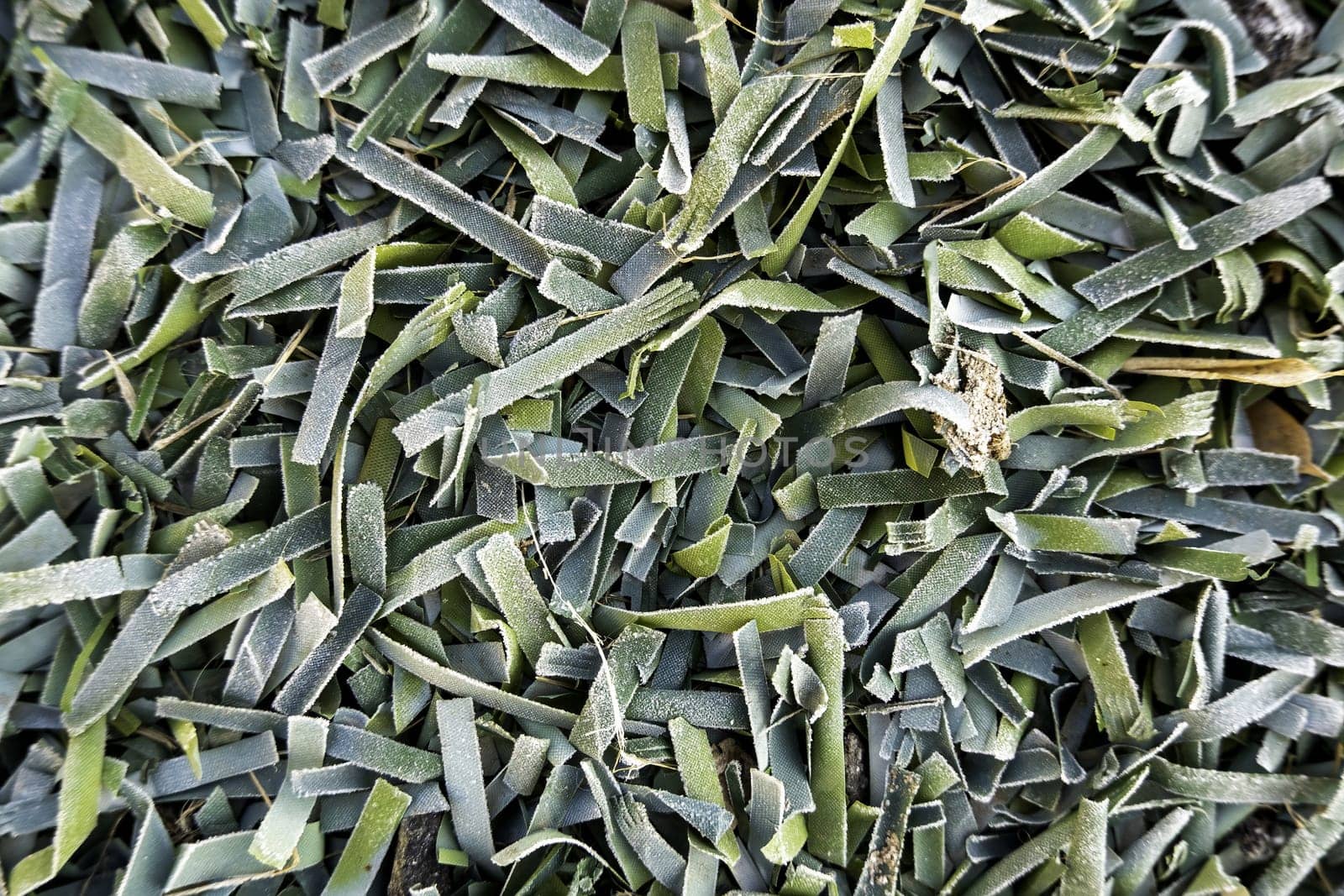 Detail of green Christmas decoration, plastic tree leaves