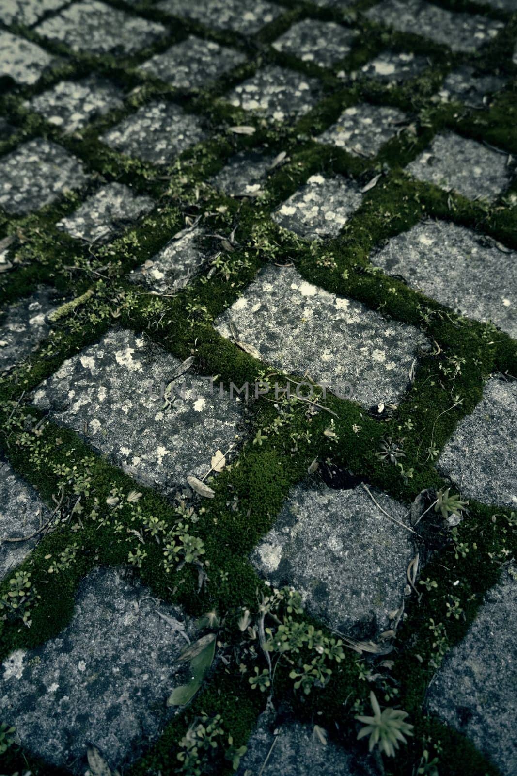 Floor detail of old cobblestones in a pedestrian walkway