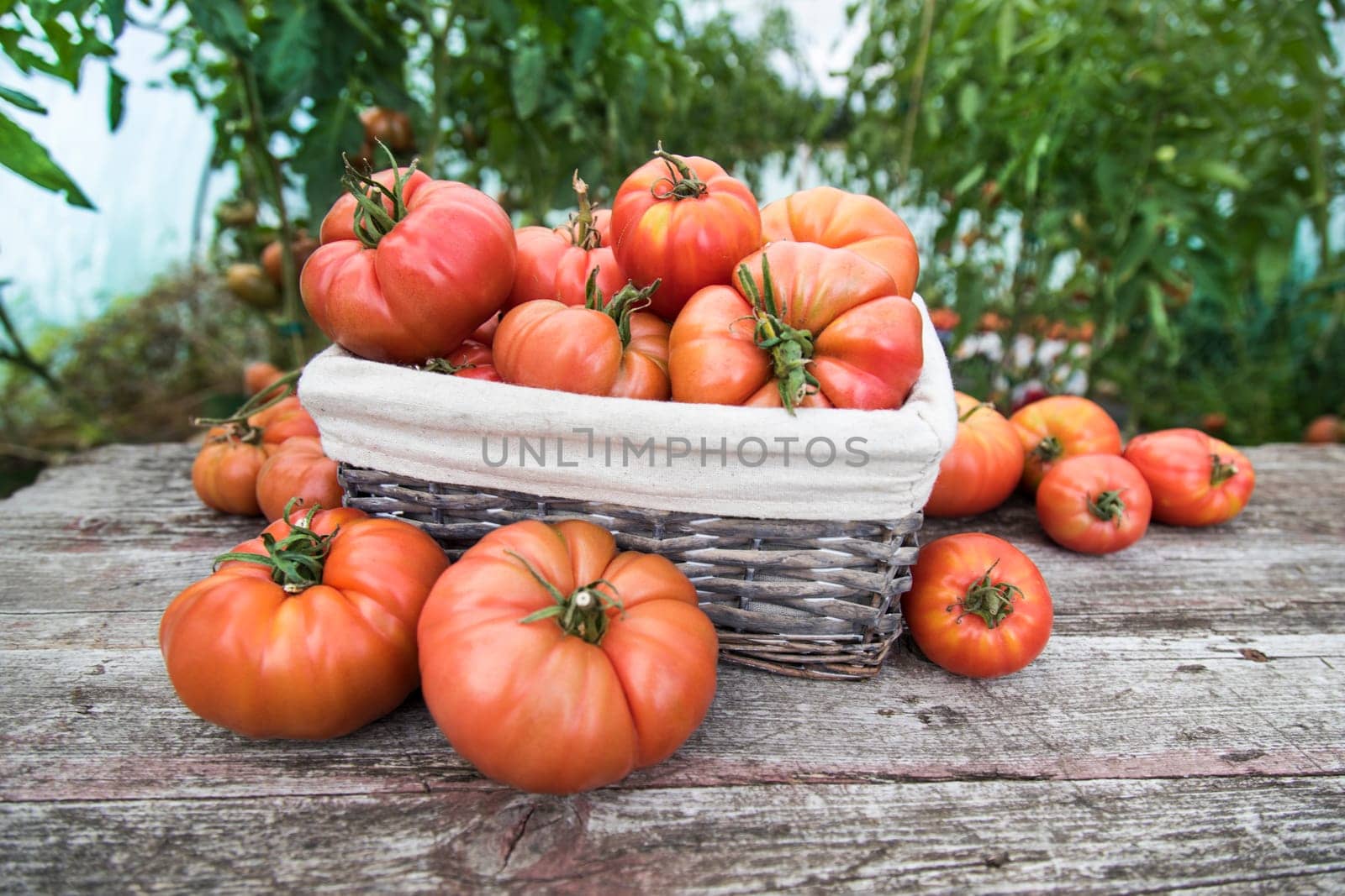 Vegetables, tomatoes on wooden desk