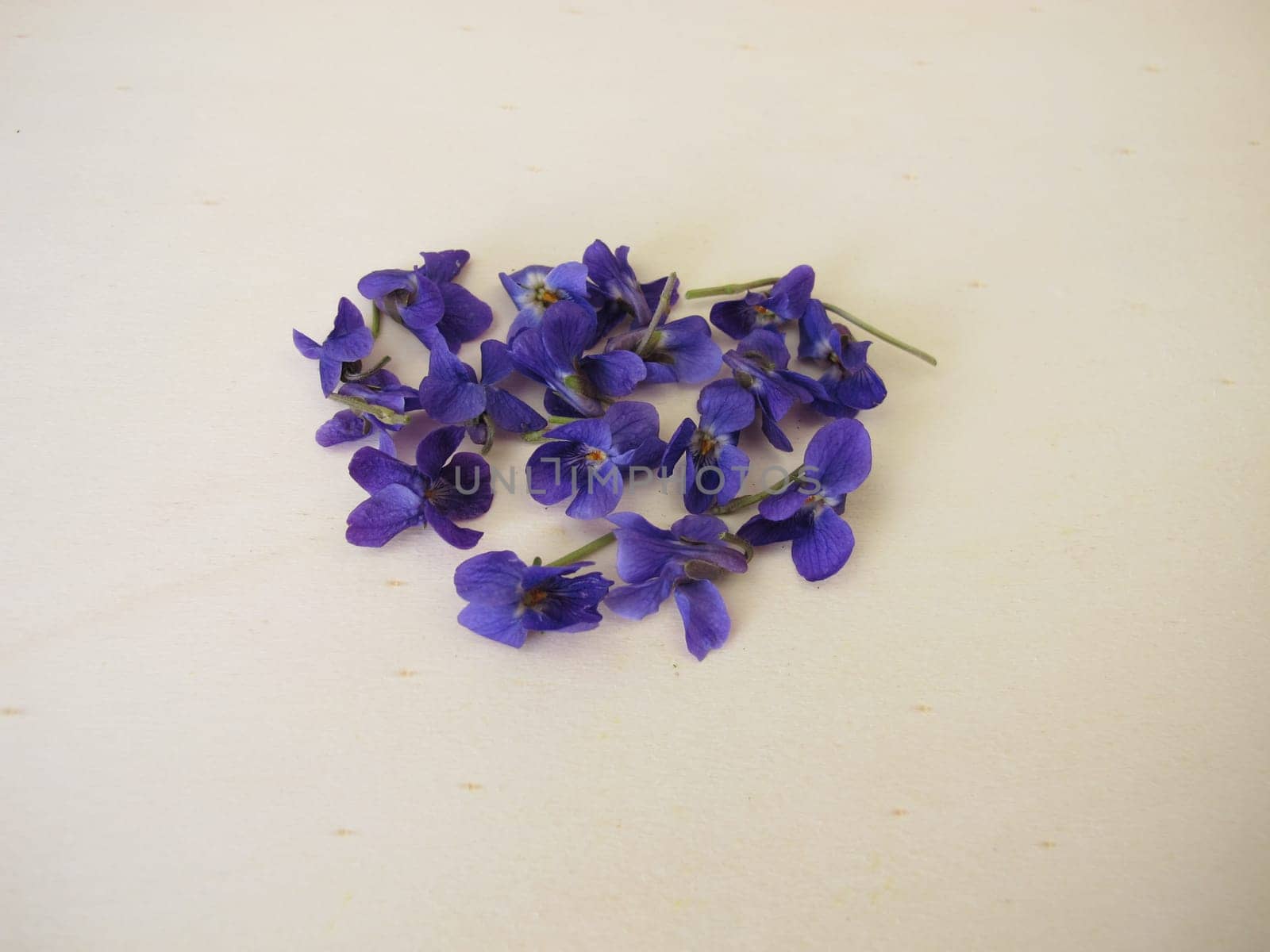 Sweet violets on a wooden board