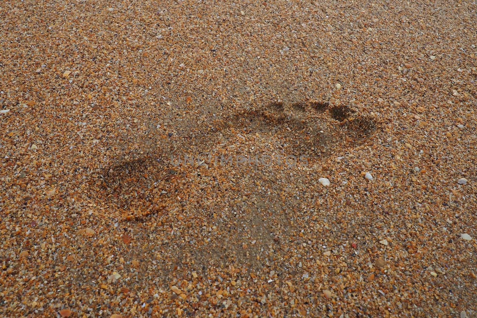 Footprint at sunset with wet sand. Sandy wet beach and footsteps. Healing coarse quartz sand with shells. Vityazevo, Anapa, Krasnodar Territory, Russia. Tourist footprints.