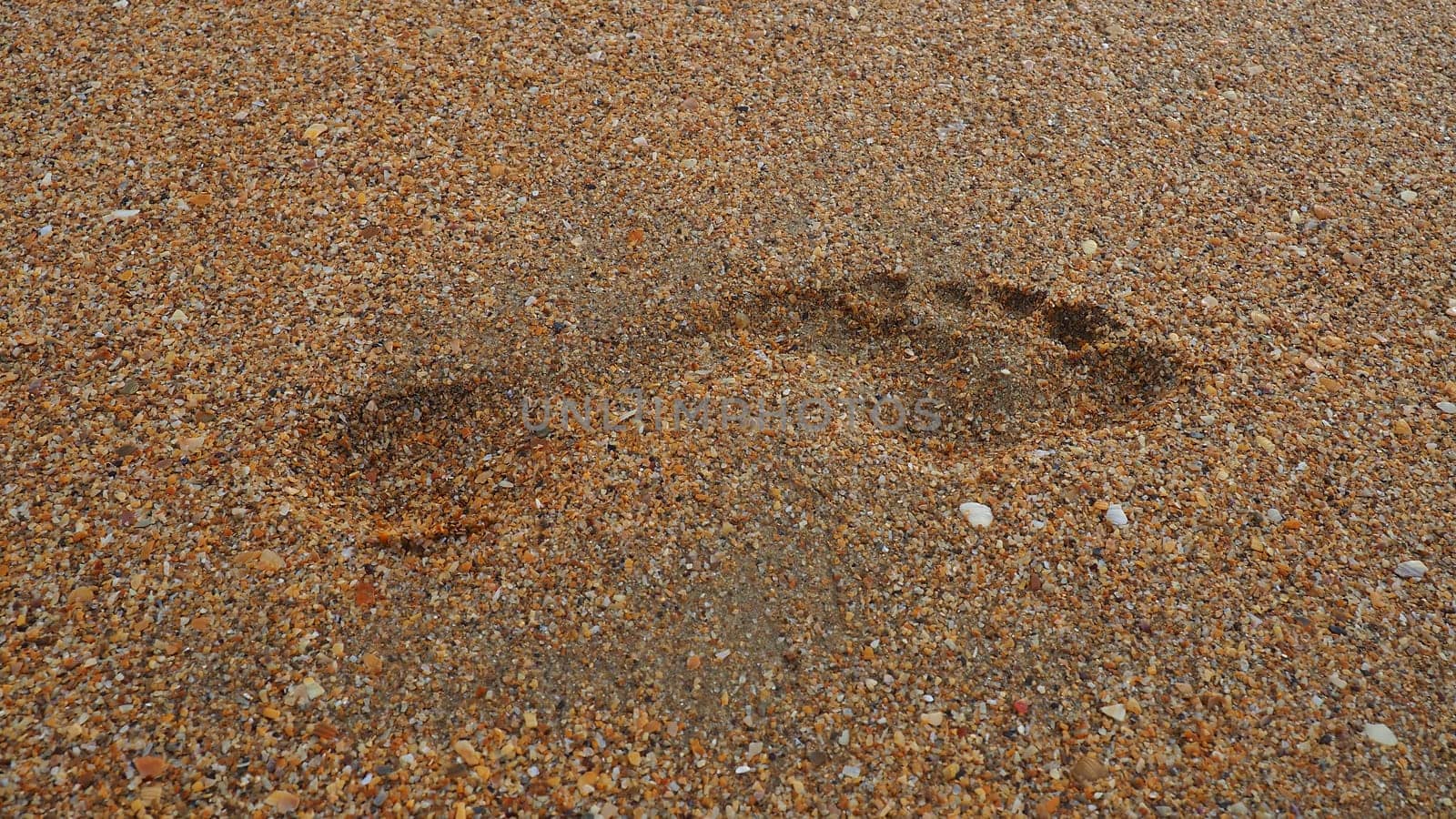 Footprint at sunset with wet sand. Sandy wet beach and footsteps. Healing coarse quartz sand with shells. Vityazevo, Anapa, Krasnodar Territory, Russia. Tourist footprints.