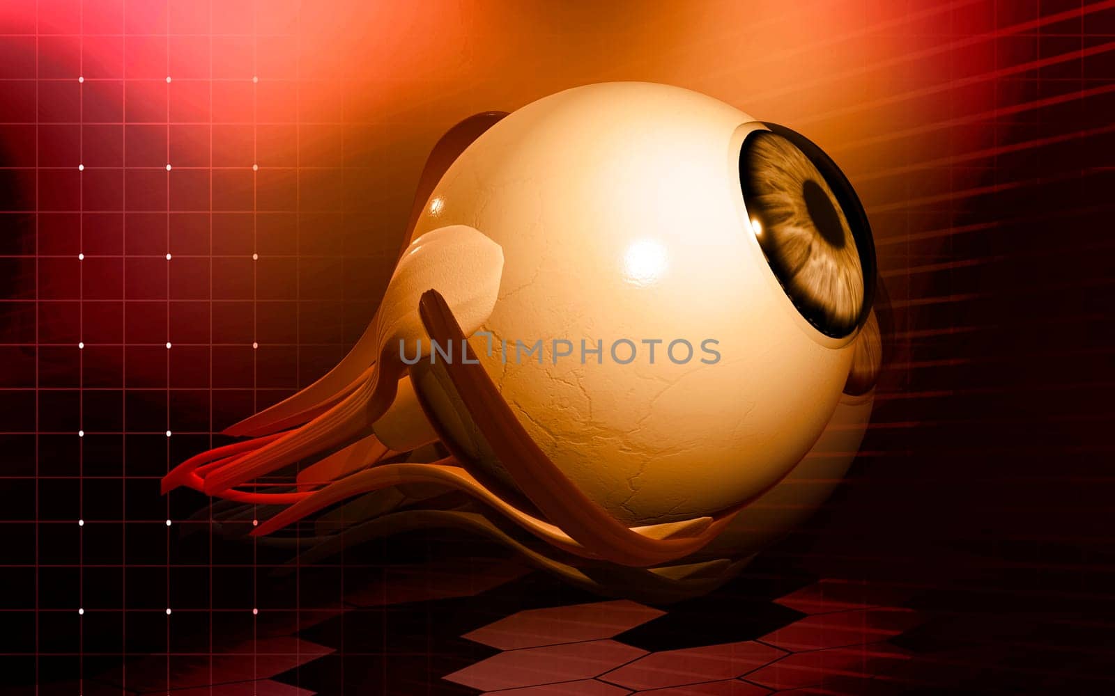 Digital illustration of eye in colour background