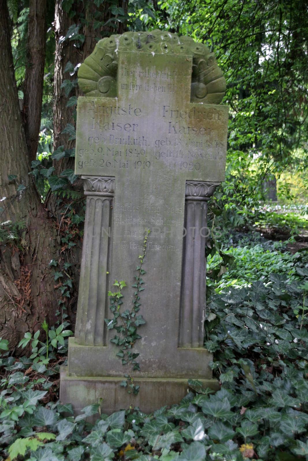 Old cemetery in Hessisch Oldendorf