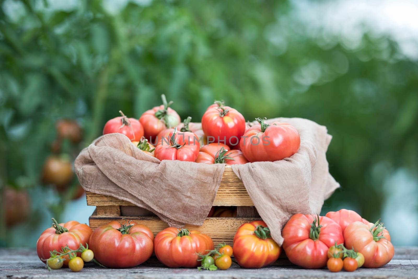 Vegetables, tomatoes on wooden desk