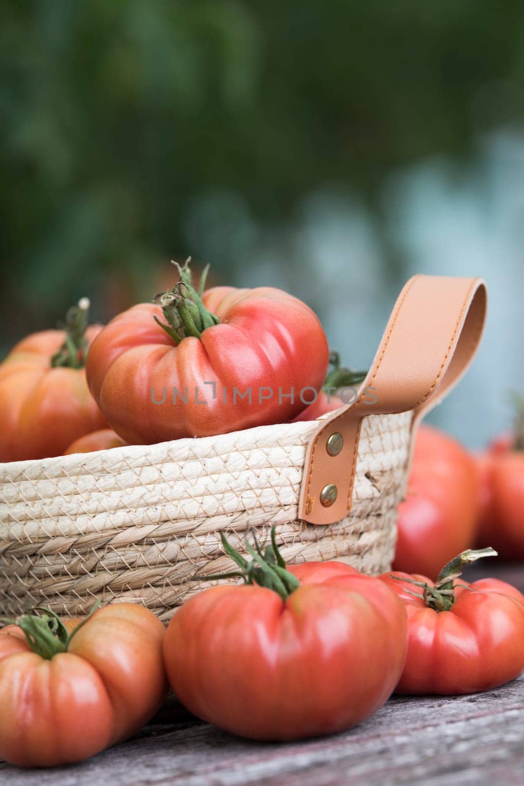 Vegetables, Tomatoes,  on desk in garden