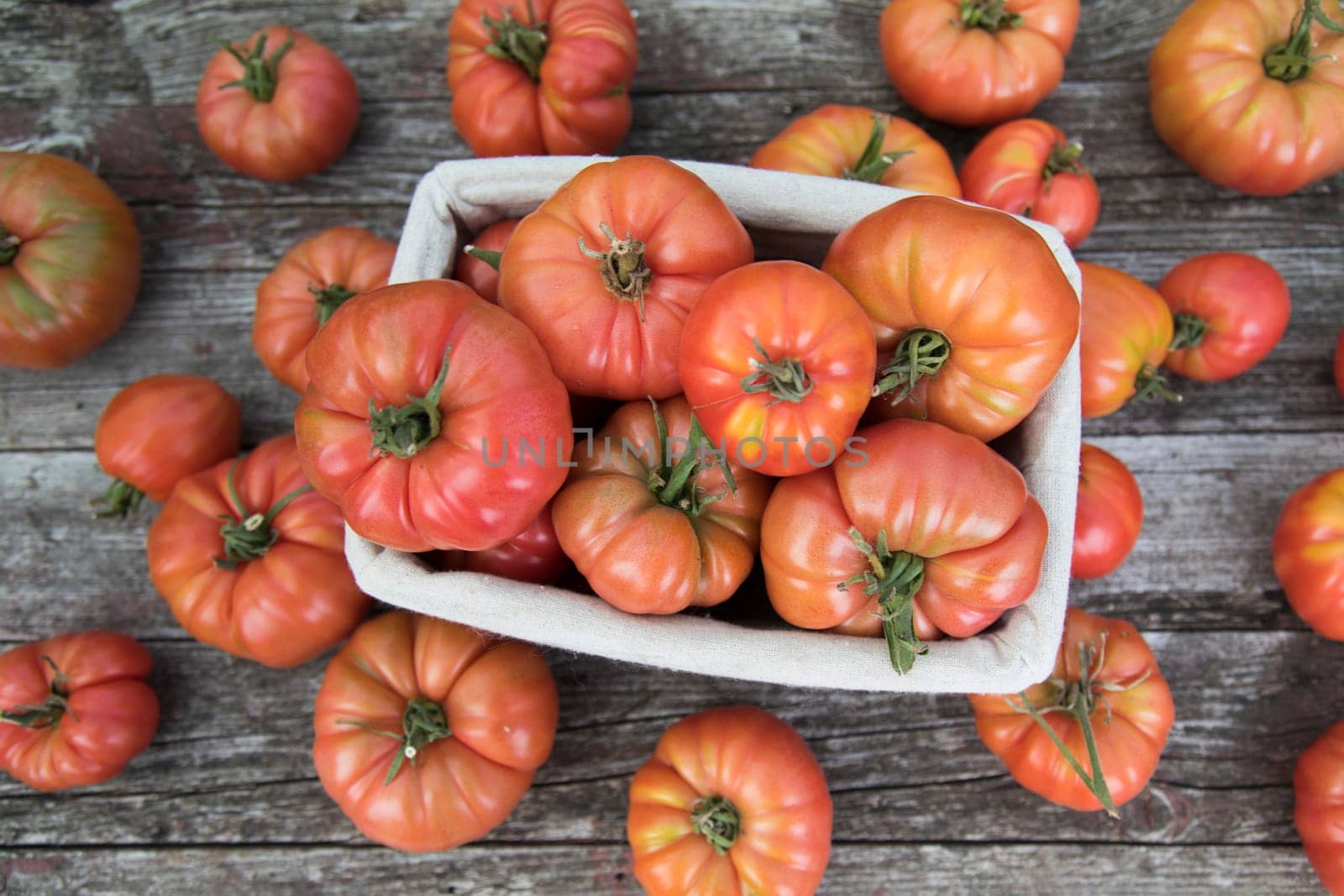 Vegetables, Tomatoes,  on desk in garden