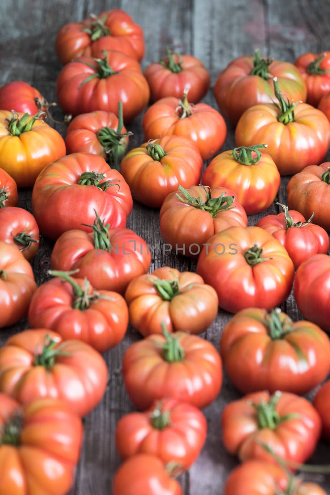 Tomatoes vegetable garden, organic products
