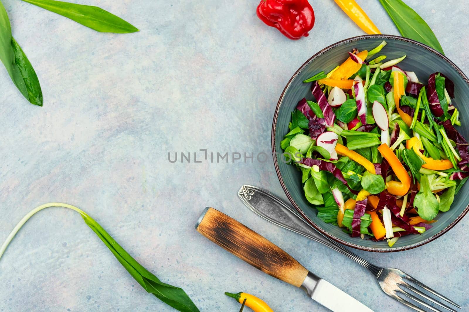 Vitamin spring green salad with vegetables and bear leek or wild garlic. Copy space