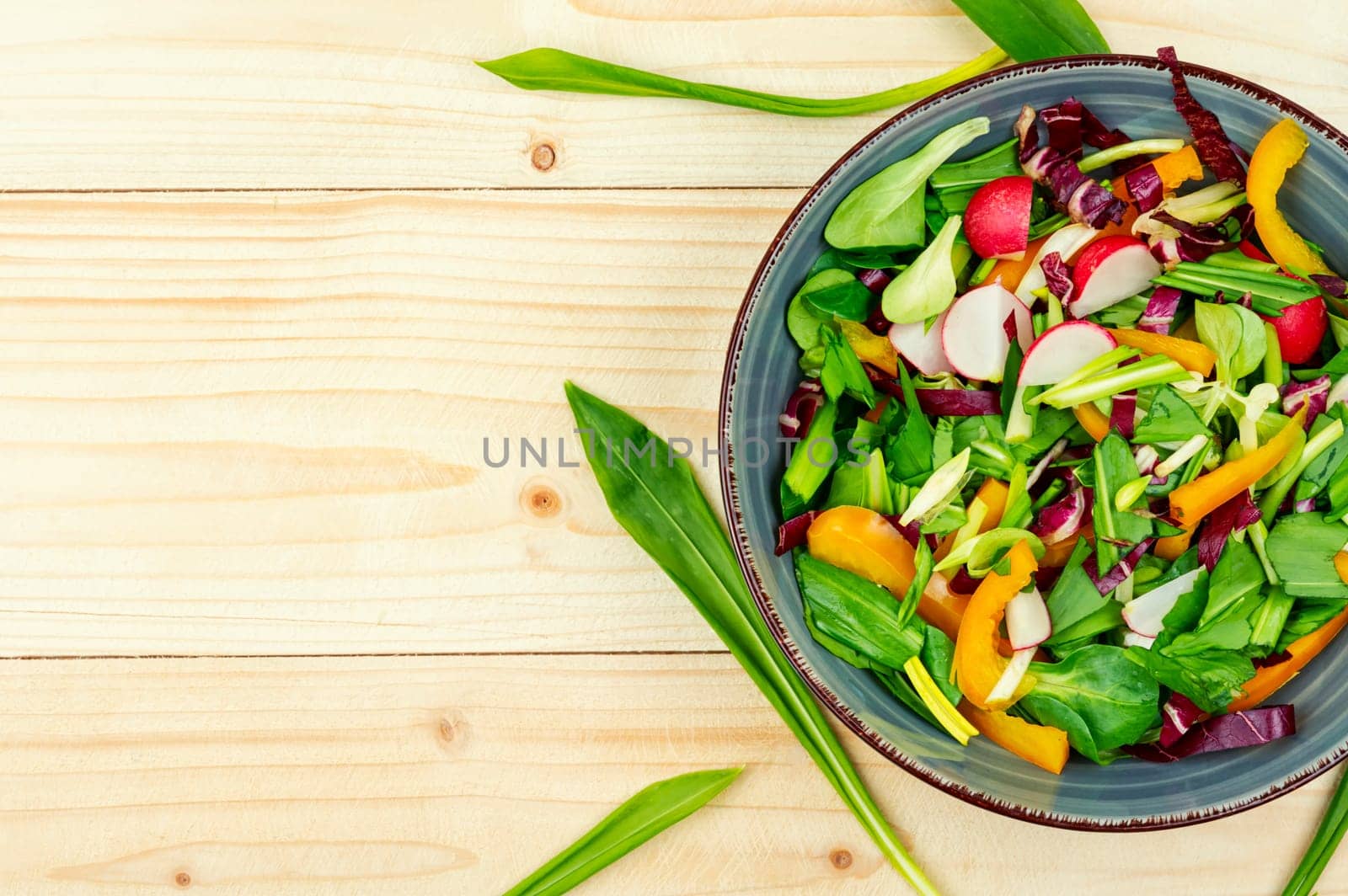 Vitamin spring green salad with vegetables and bear leek or wild garlic. Copy space