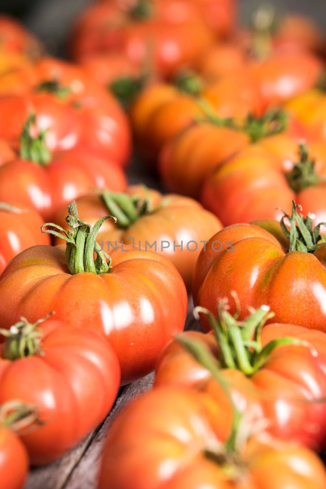 Tomatoes vegetable garden, organic products