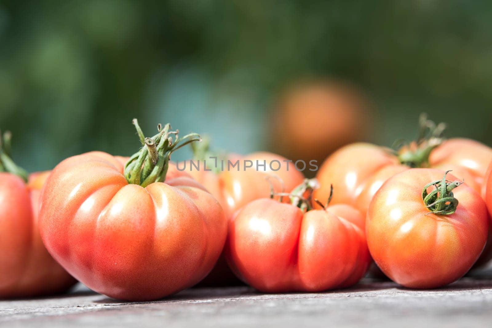 Vegetables, tomatoes on wooden desk