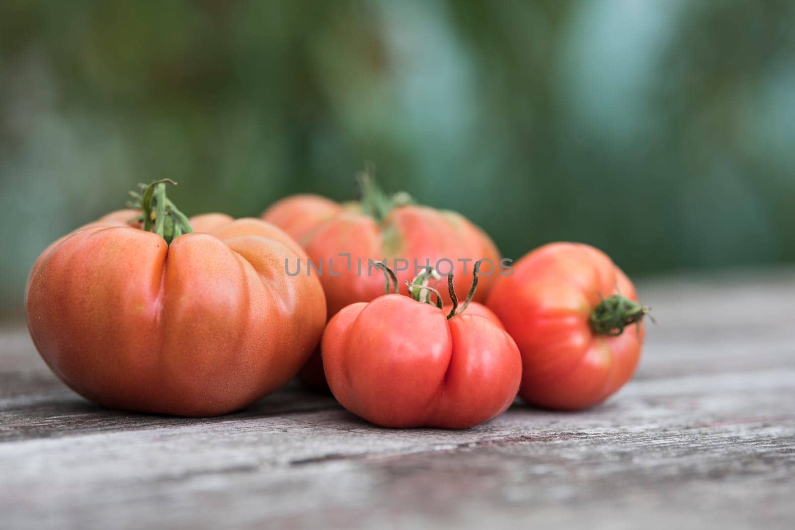 Vegetables, tomatoes on wooden desk