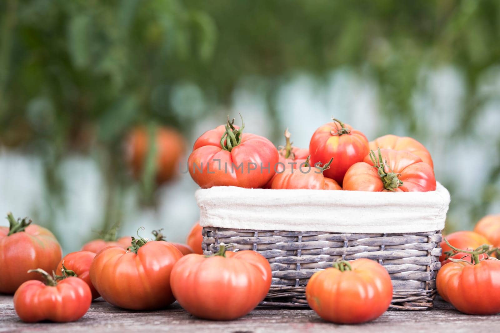 Vegetables, tomatoes on wooden desk