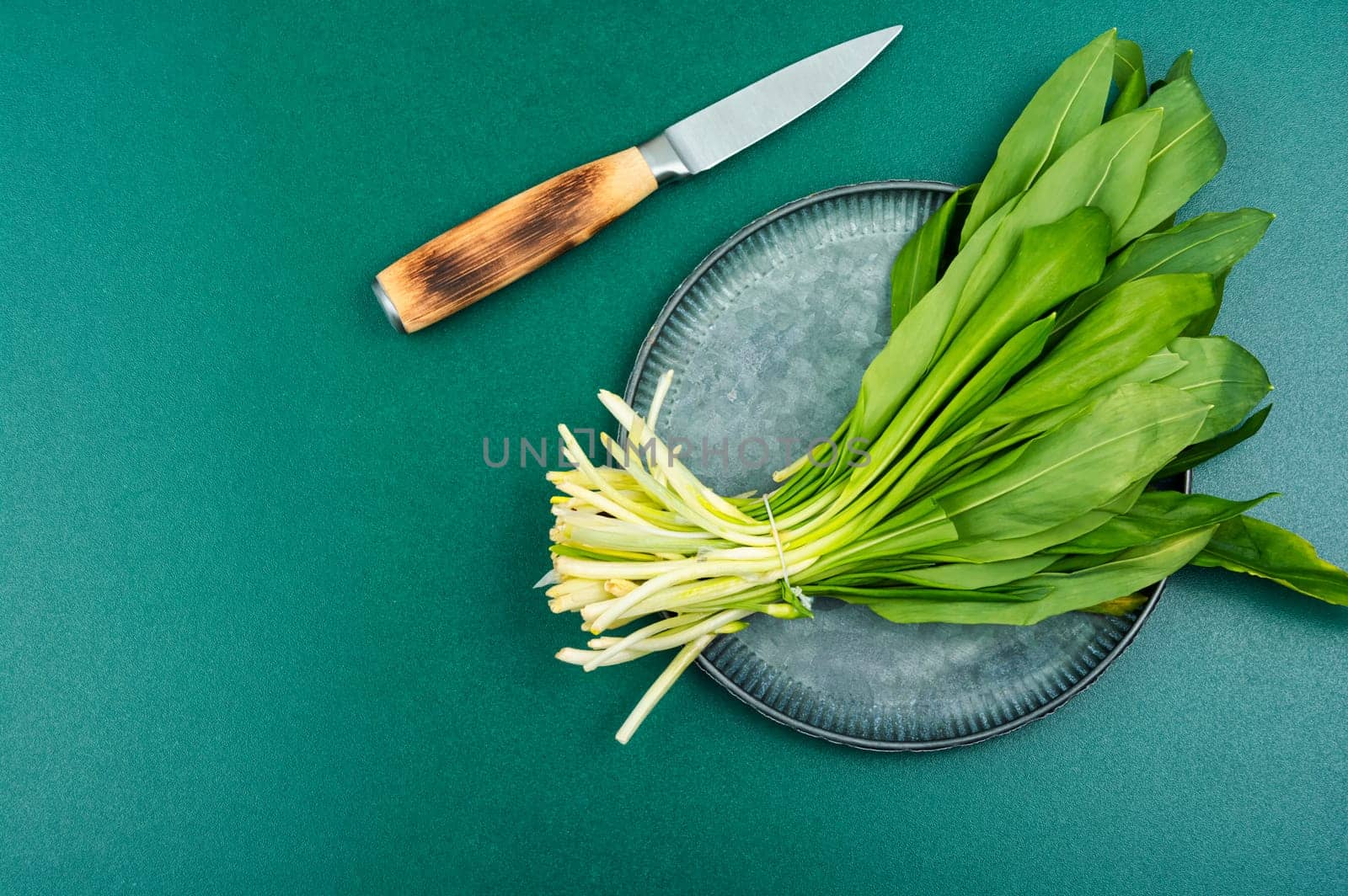 Ramson or wild garlic on a table. Wild garlic, as a spice for meat, fish and vegetable dishes. Copy space