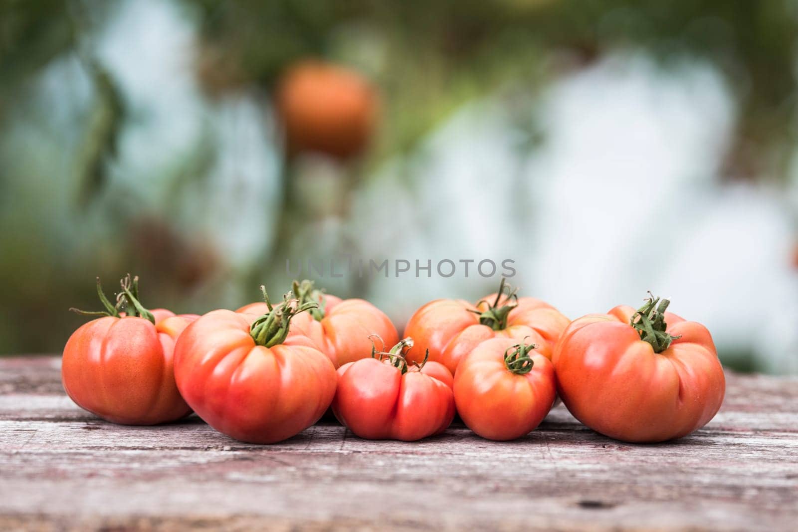 Vegetables, tomatoes on wooden desk