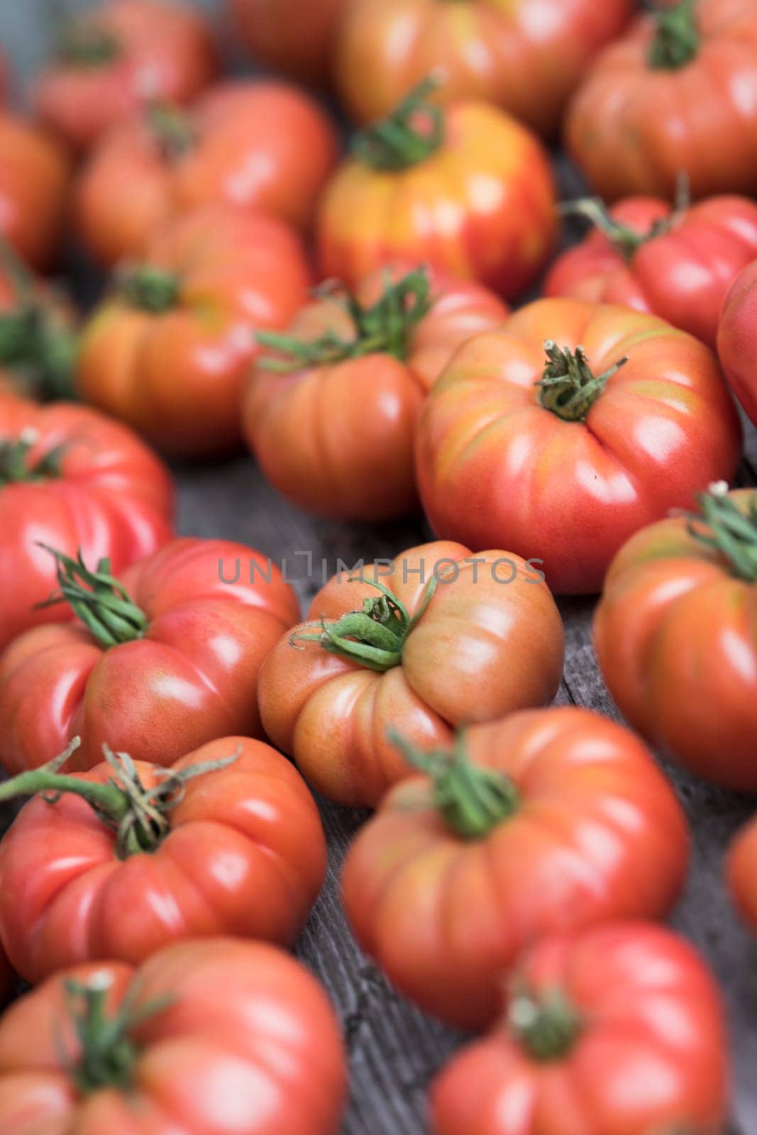 Red Tomatoes in a Greenhouse, organic food