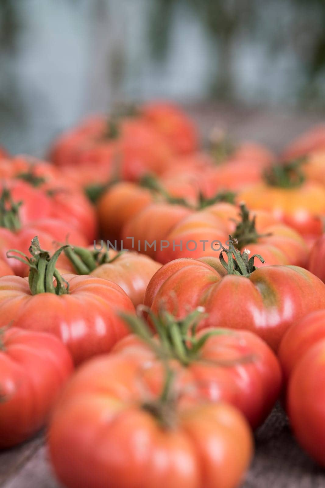 Organic food, Free red vegetables of tomato