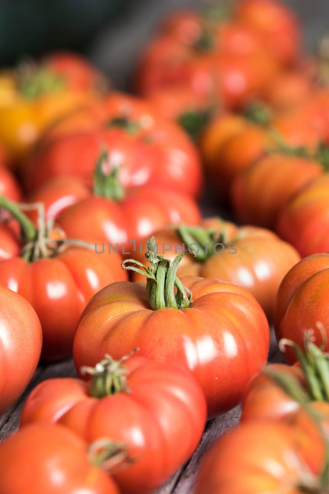 Red Tomatoes in a Greenhouse, organic food