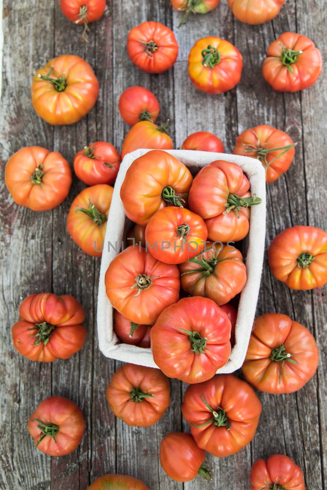 Vegetables, Tomatoes,  on desk in garden