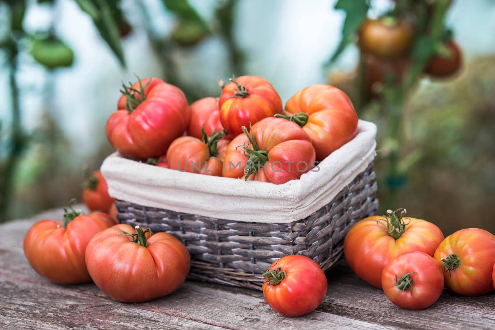 Vegetables, tomatoes on wooden desk