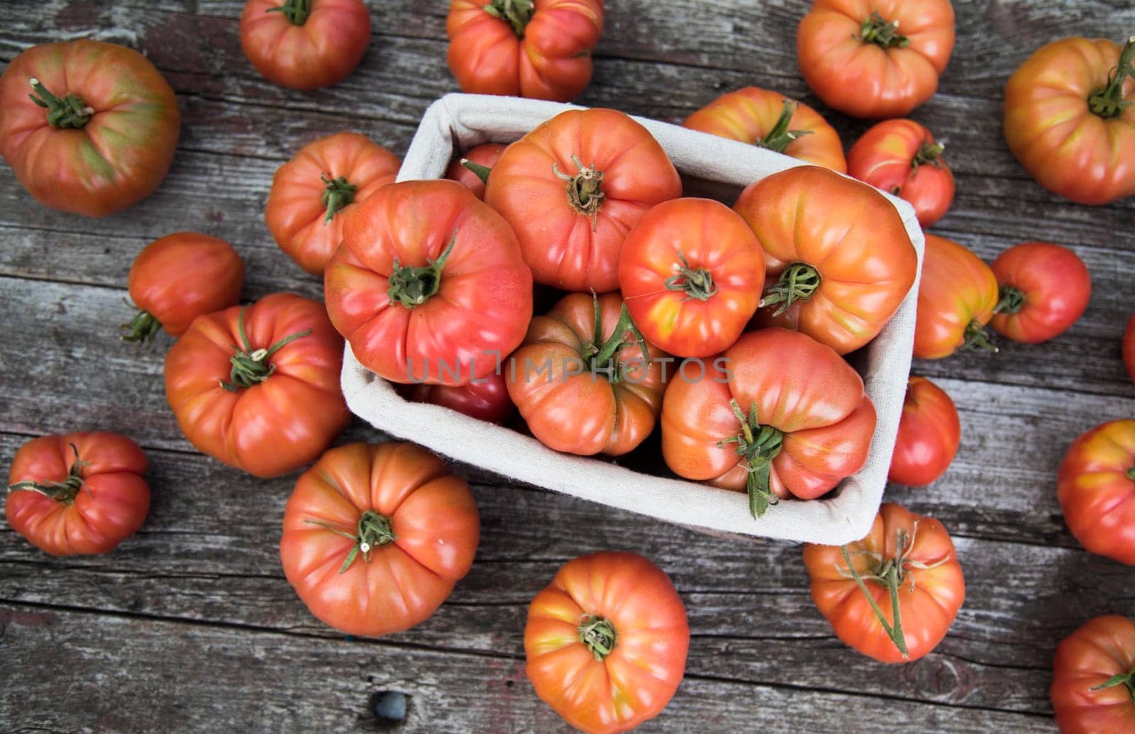 Vegetables, Tomatoes,  on desk in garden