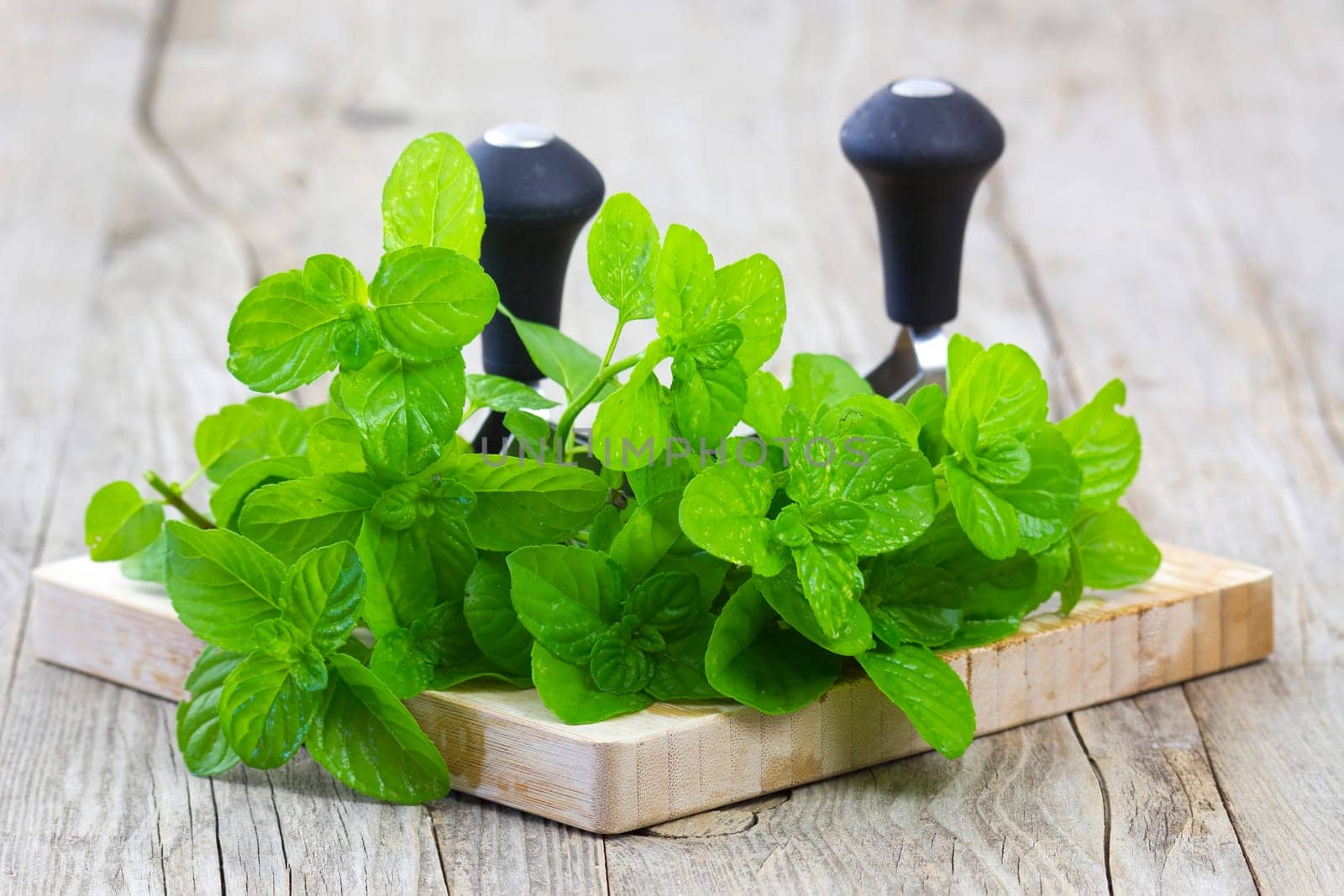 mint leaves and knife on wooden background