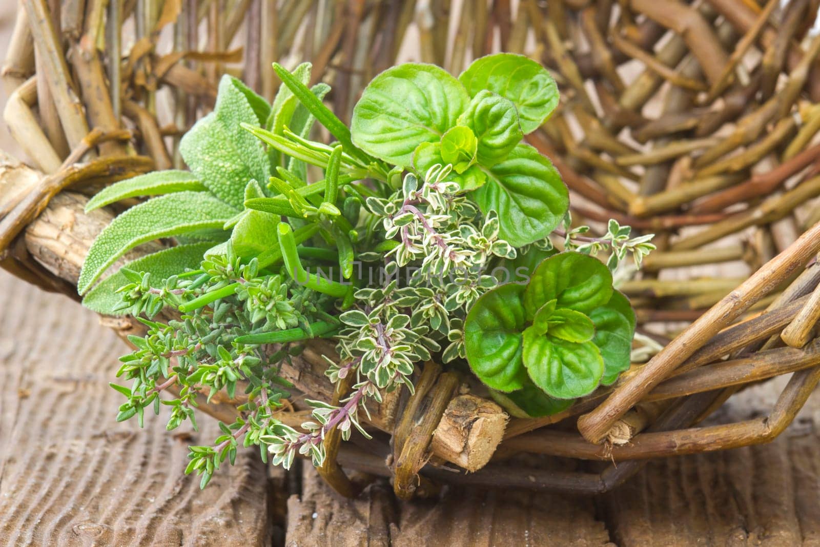 Freshly harvested herbs in a basket on wooden background