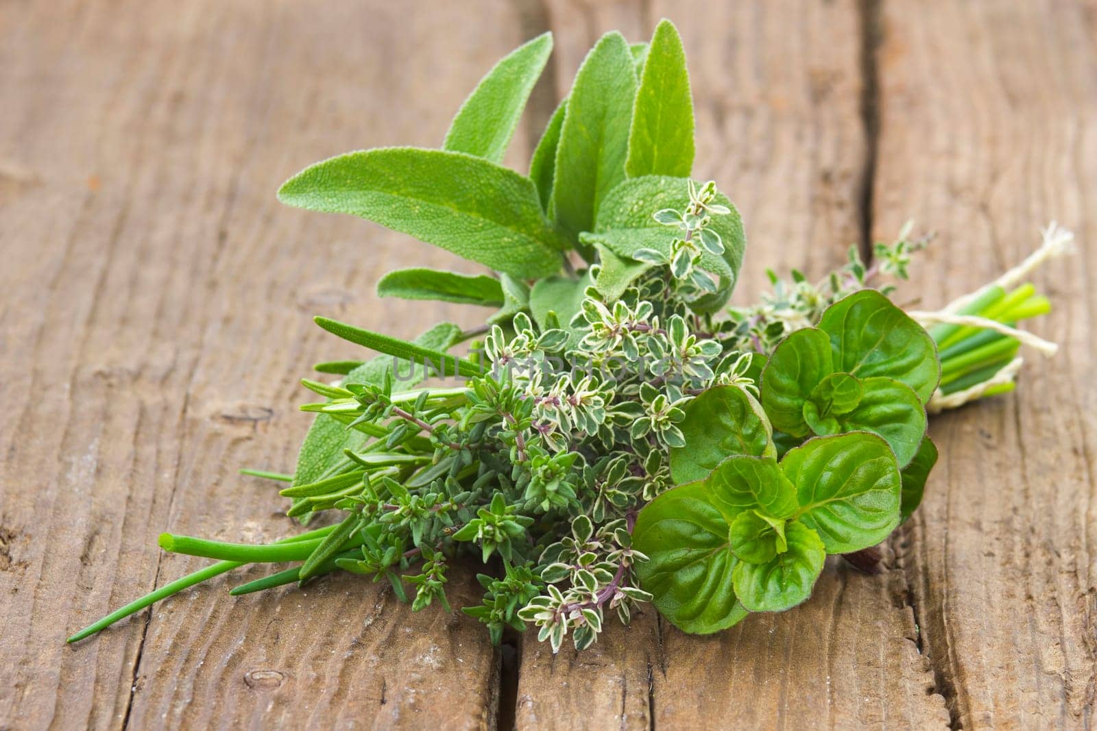 Freshly harvested herbs on wooden background