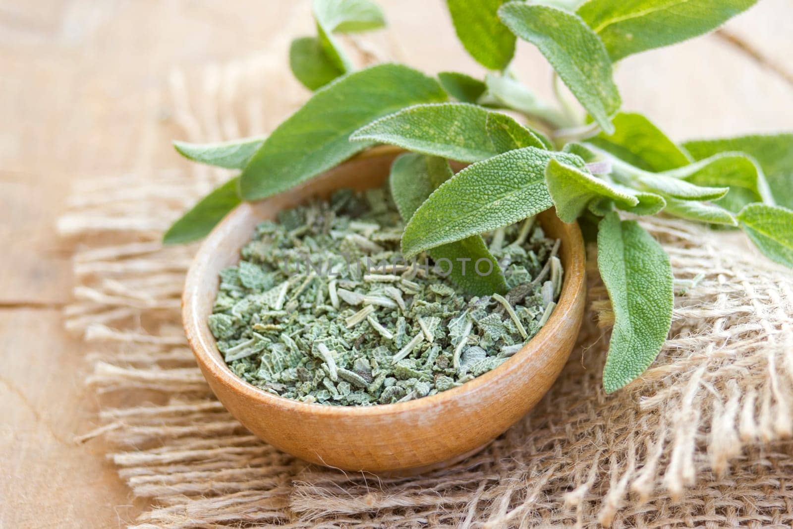 fresh and dried sage