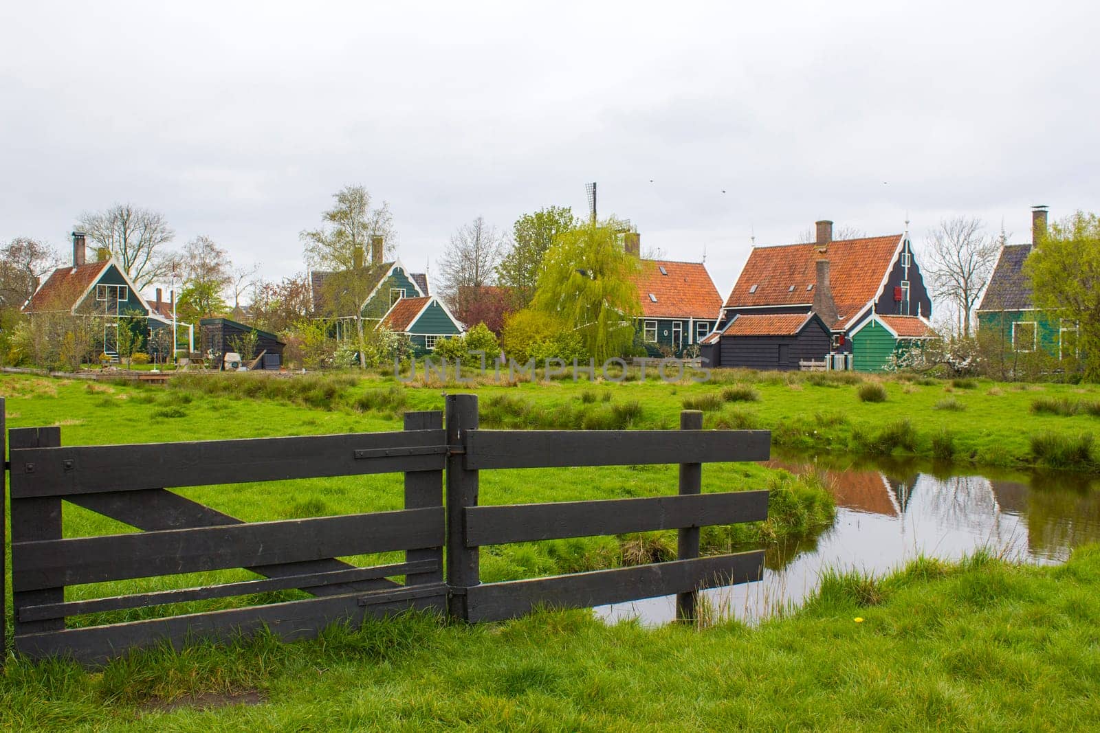 Traditional Houses in the Historic Village of Zaanse Schans on the Zaan River in the Netherlands