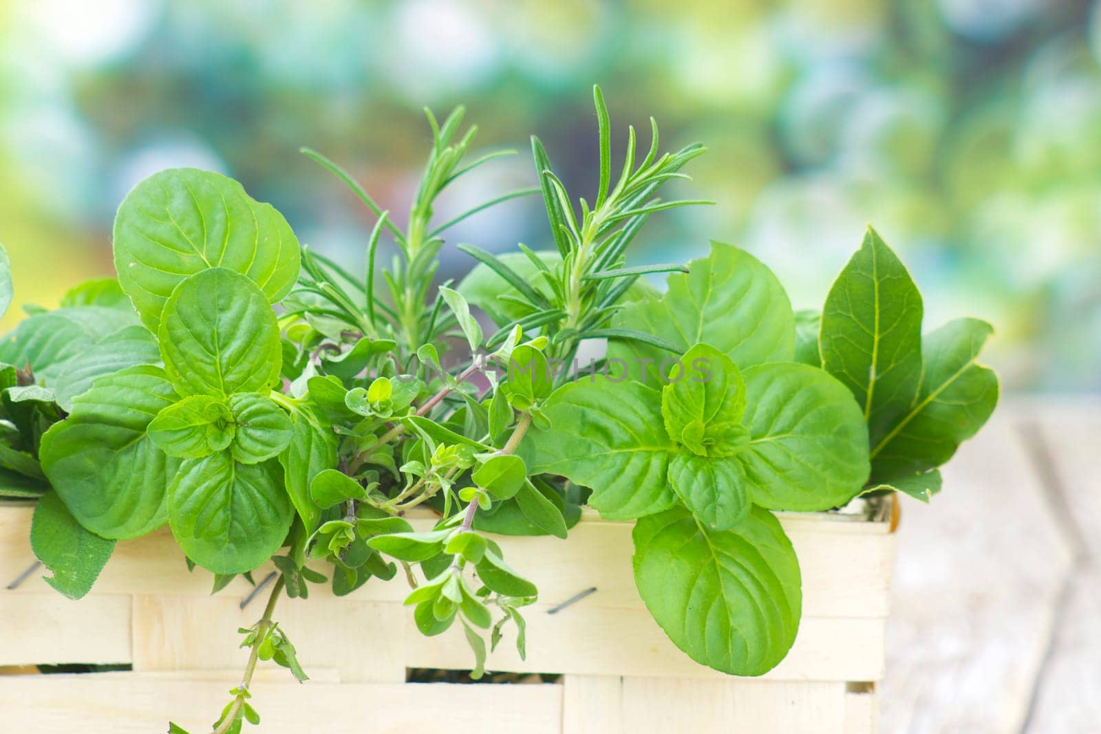 Freshly harvested herbs in a basket