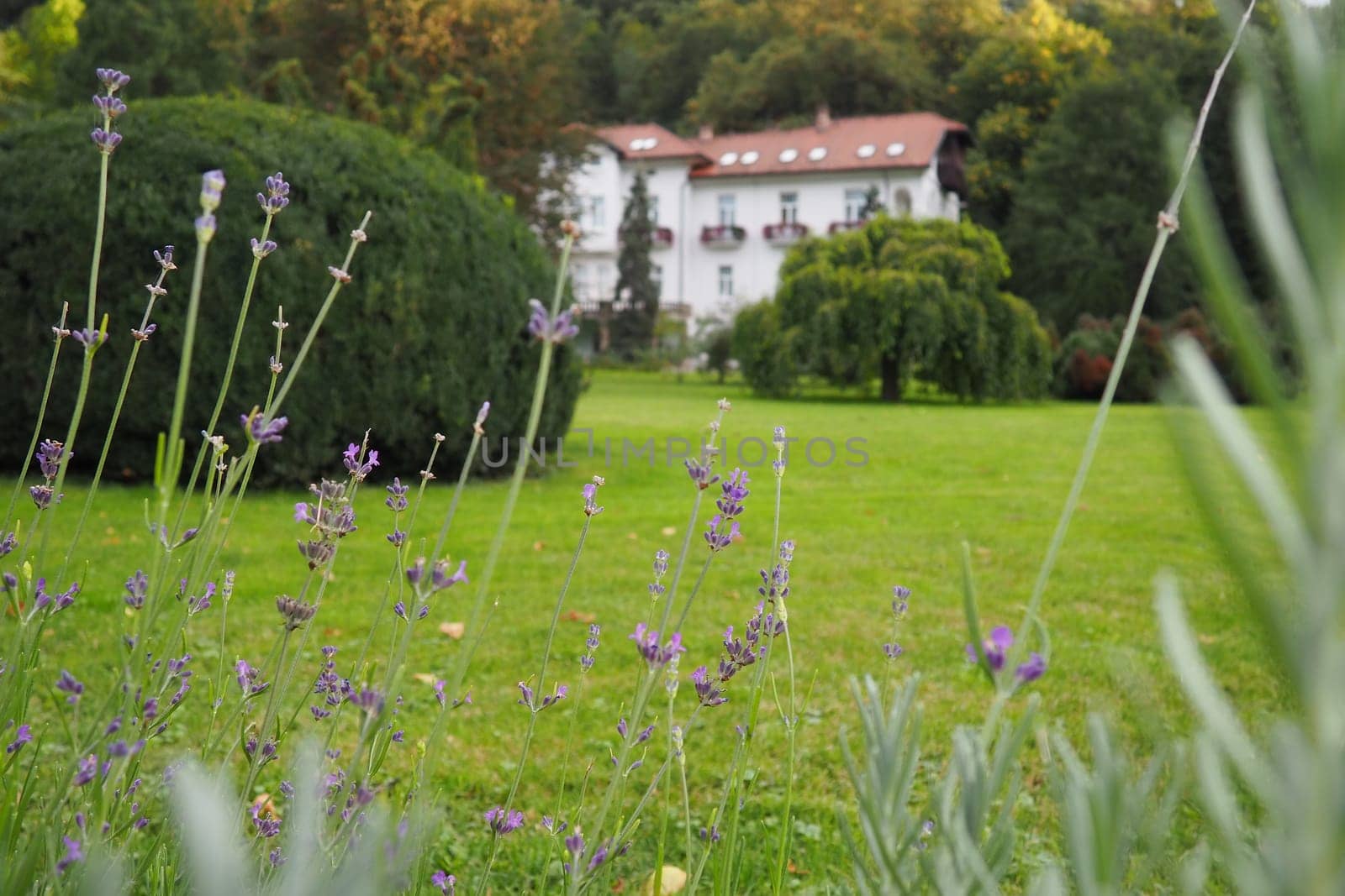 Banja Koviljaca, Serbia, Guchevo, Loznica, September 30, 2022 A medical building, the former royal villa. Green lawn in the park with flowers and bushes. Landscaping and decoration of the park area