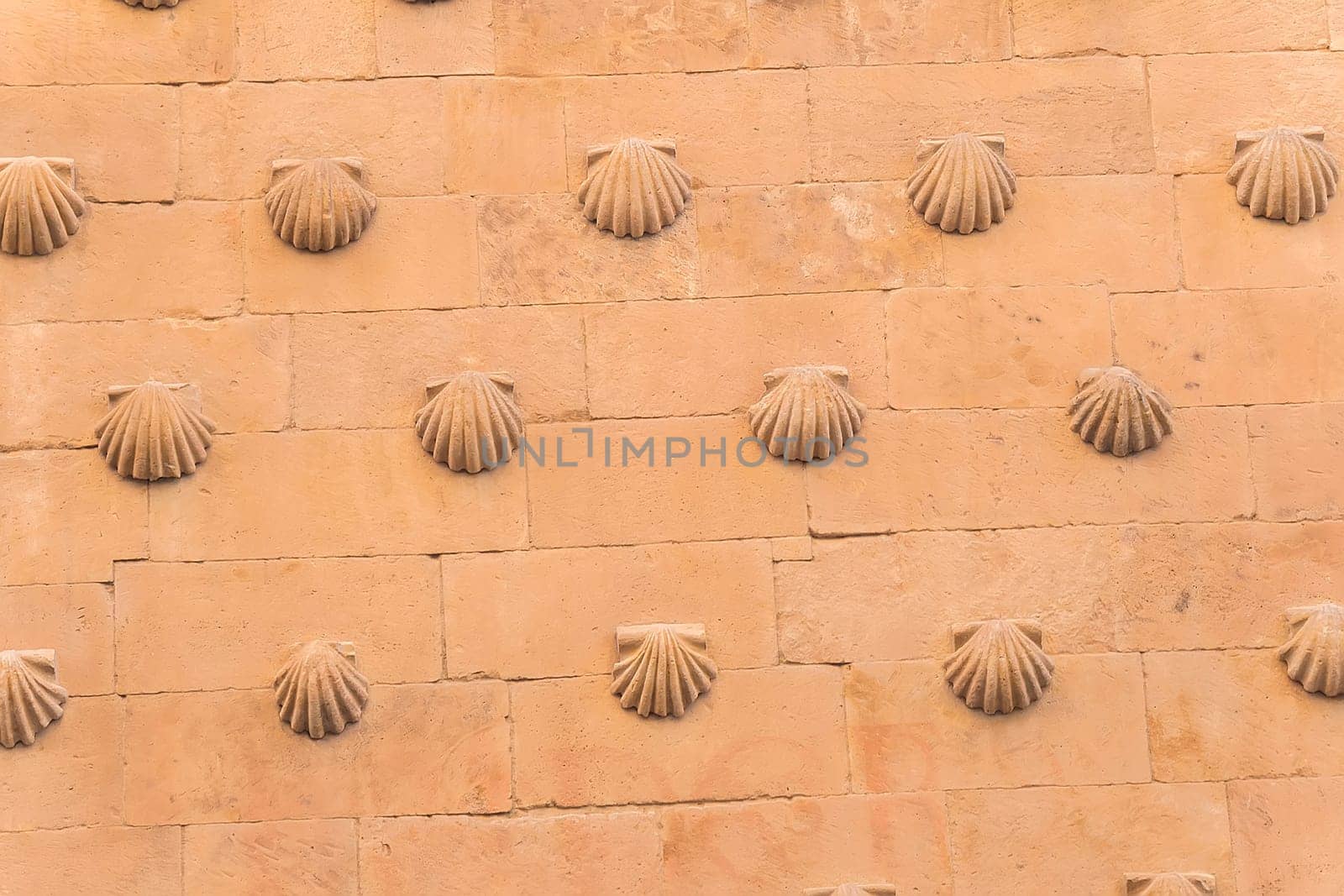 One of the facades of the Casa de las Conchas building in Salamanca (Spain).