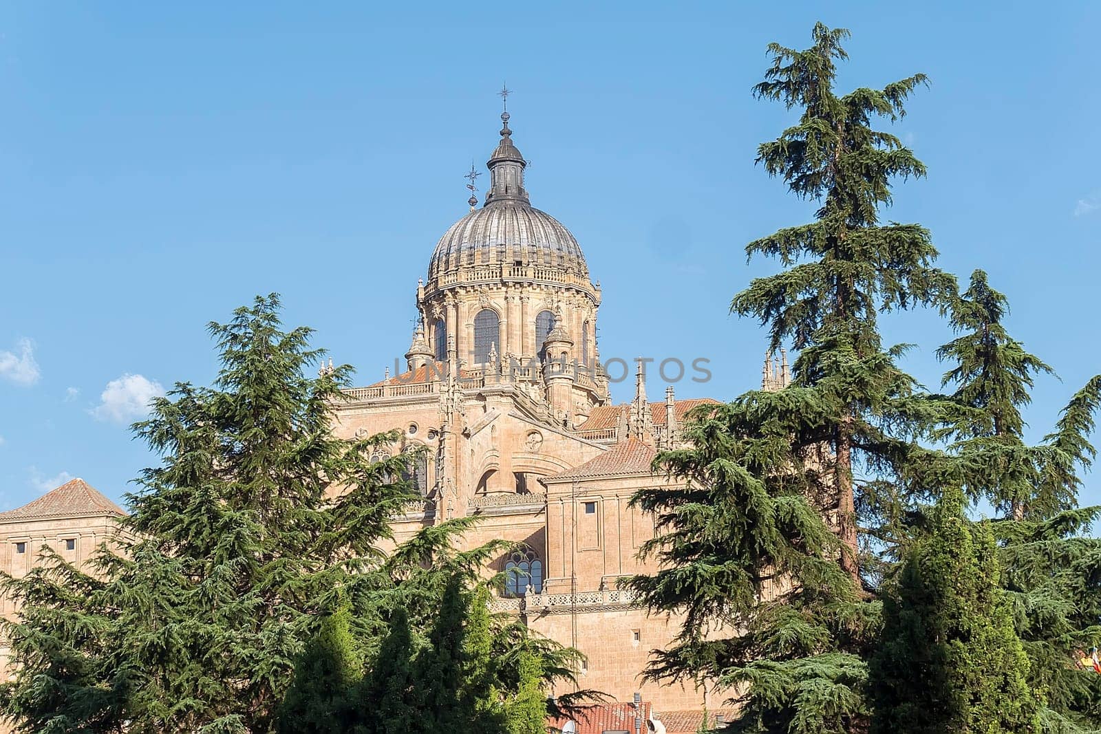 Photo detail of part of the Salamanca catedral in Spain.