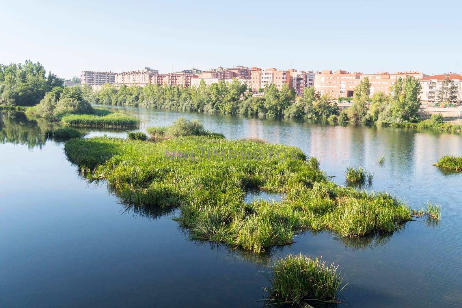 Tormes river and the city of Salamanca behind (Spain).