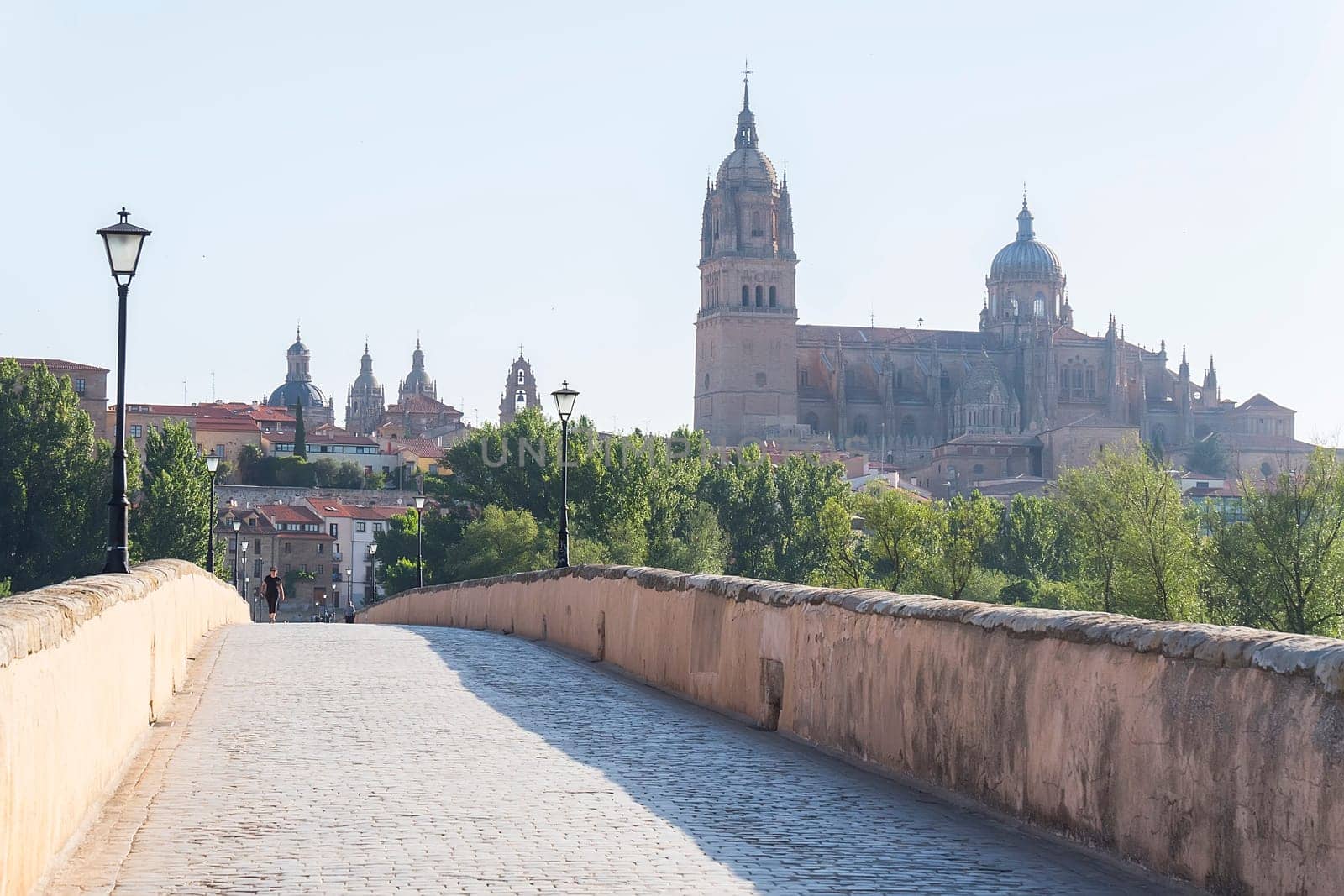 Roman bridge over the Tormes river and in the background the cathedral of Salamanca (Spain).
