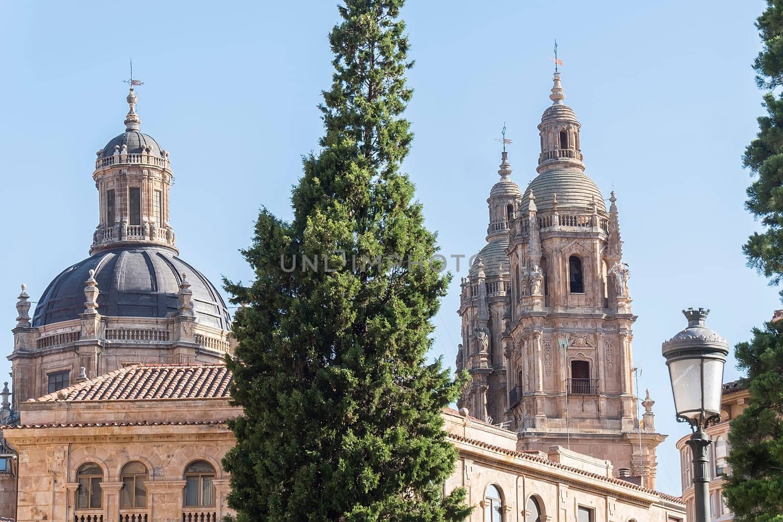Photo detail of part of the Salamanca catedral in Spain.