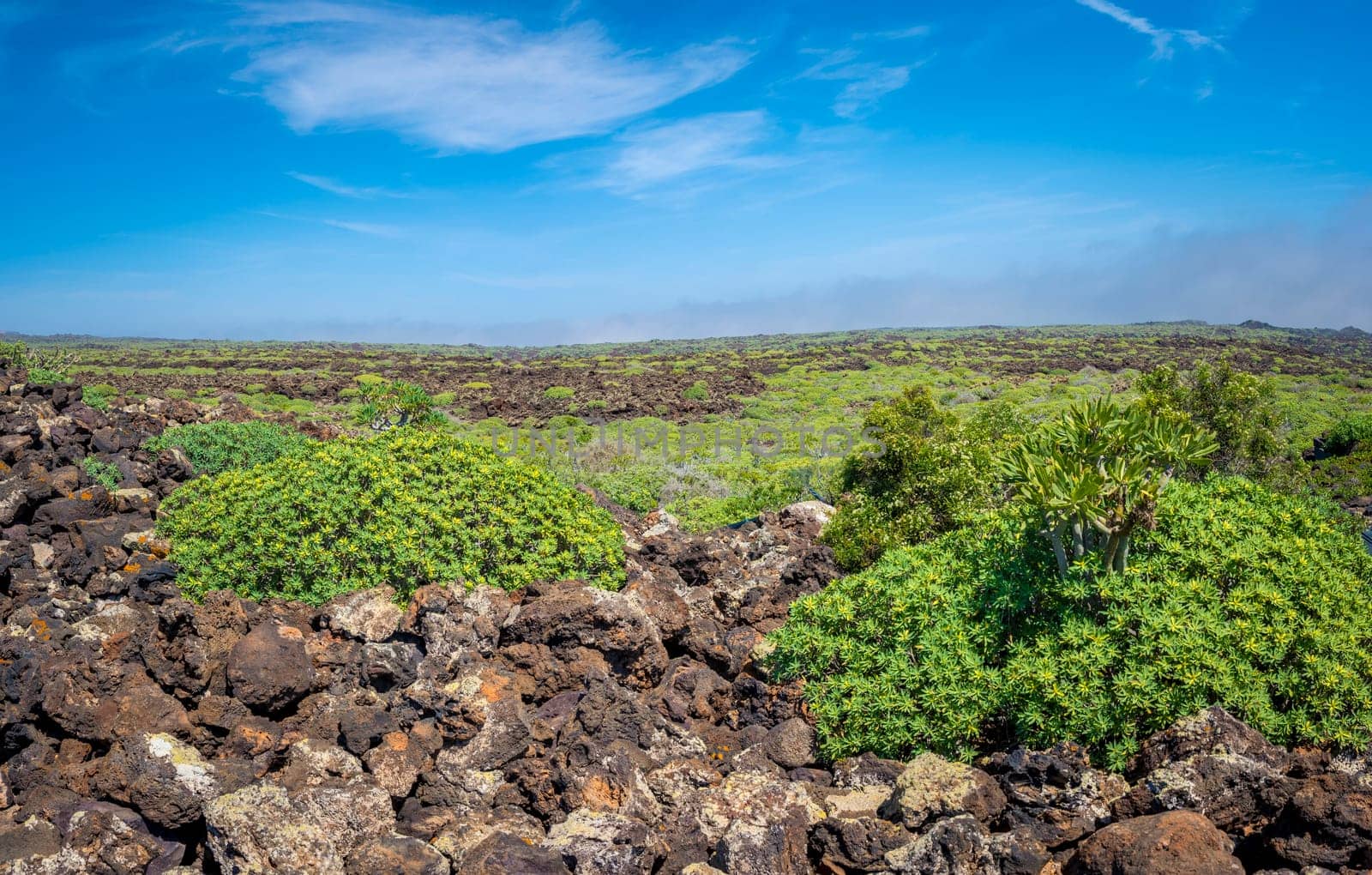 View on the volcanic landscape of northern Lanzarote, one of the Canary Islands of Spain