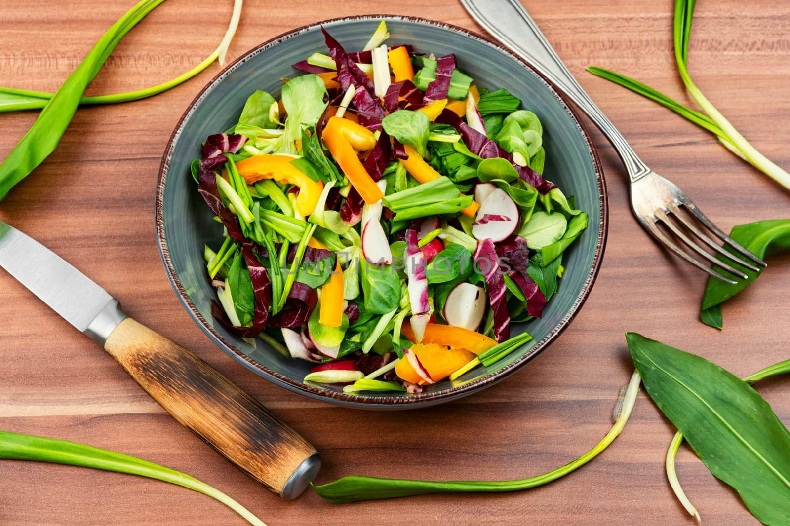 Green salad with vegetables and bear leek or wild garlic. Healthy spring plants food