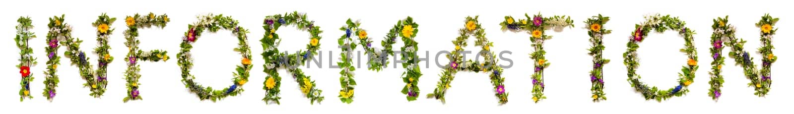 Blooming Flower Letters Building English Word Information. Colorful Spring and Summer Blossoms. White Isolated Background.
