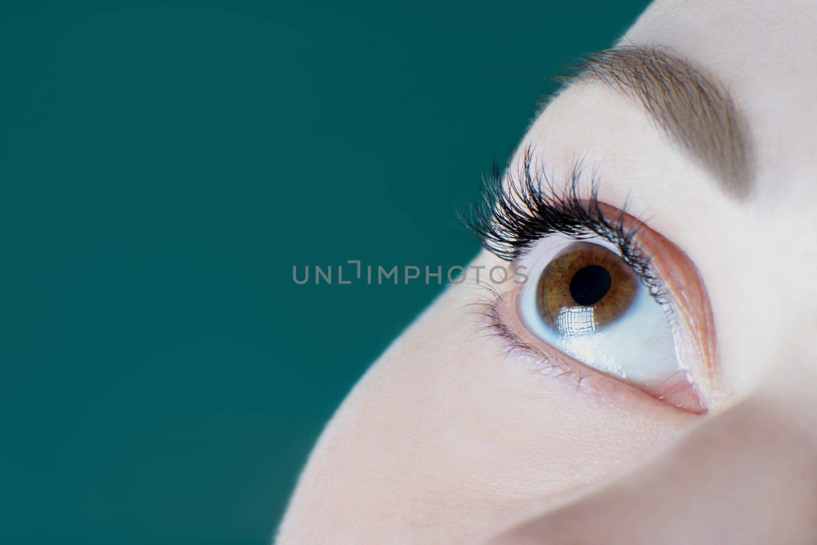 Close-up of brown eye with long eyelashes, black eyeliner, healthy skin, perfect eyebrow of unrecognizable young woman looking up on green background. Macro. Eyelash extension, cosmetology, make-up.