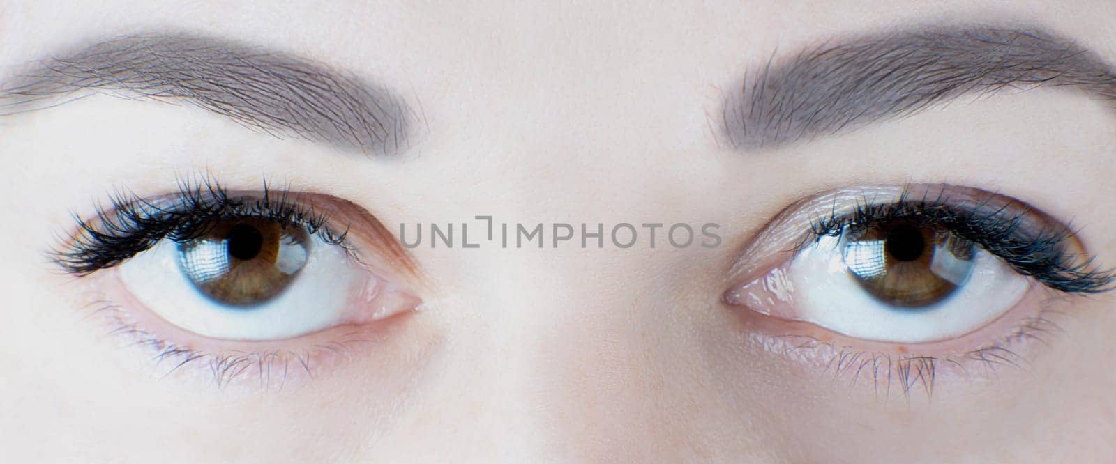 Close-up of brown eyes with luxurious extreme long eyelashes, perfect skin, ideal eyebrows of unrecognizable young woman. Macro. Eyelash extension, beauty procedures, cosmetics, make-up, microblading.