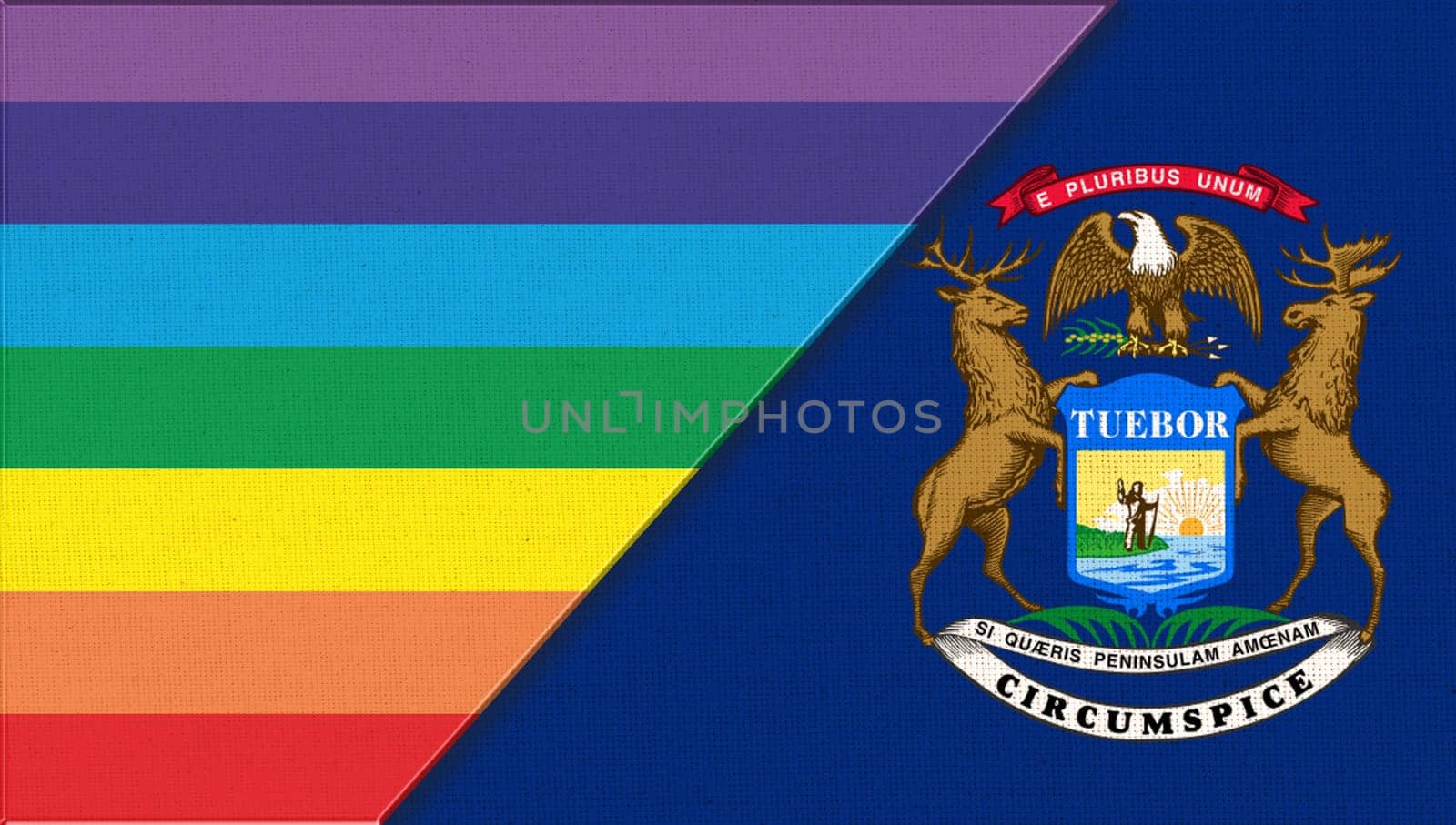 Flags of Michigan and lgbt. sexual concept. Double flag 3d illustration. Flag symbol Michigan. Flags of Michigan and sexual minorities. Two flags on surface. Symbol of sexual minorities