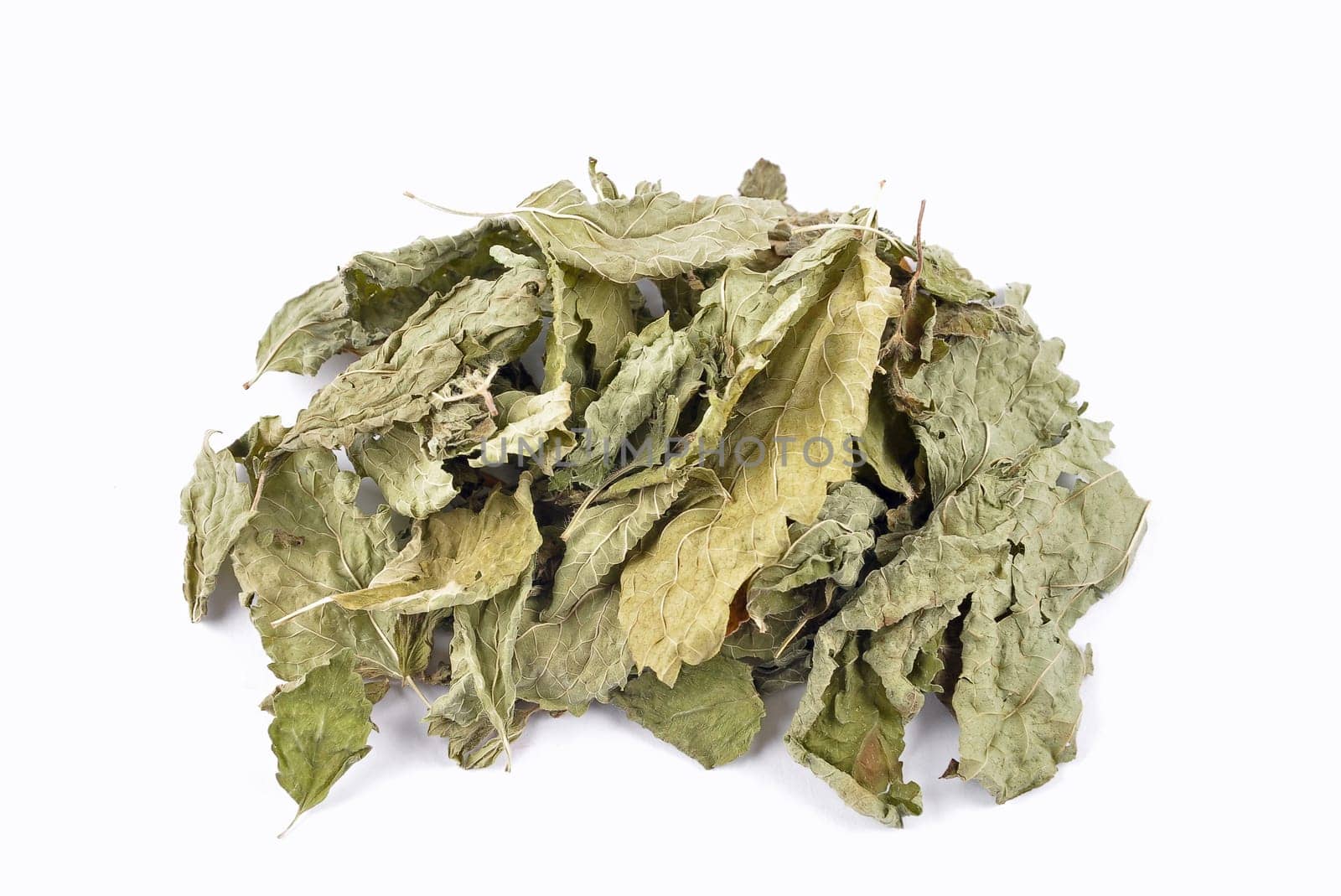 Dried lemon balm leaves on white background