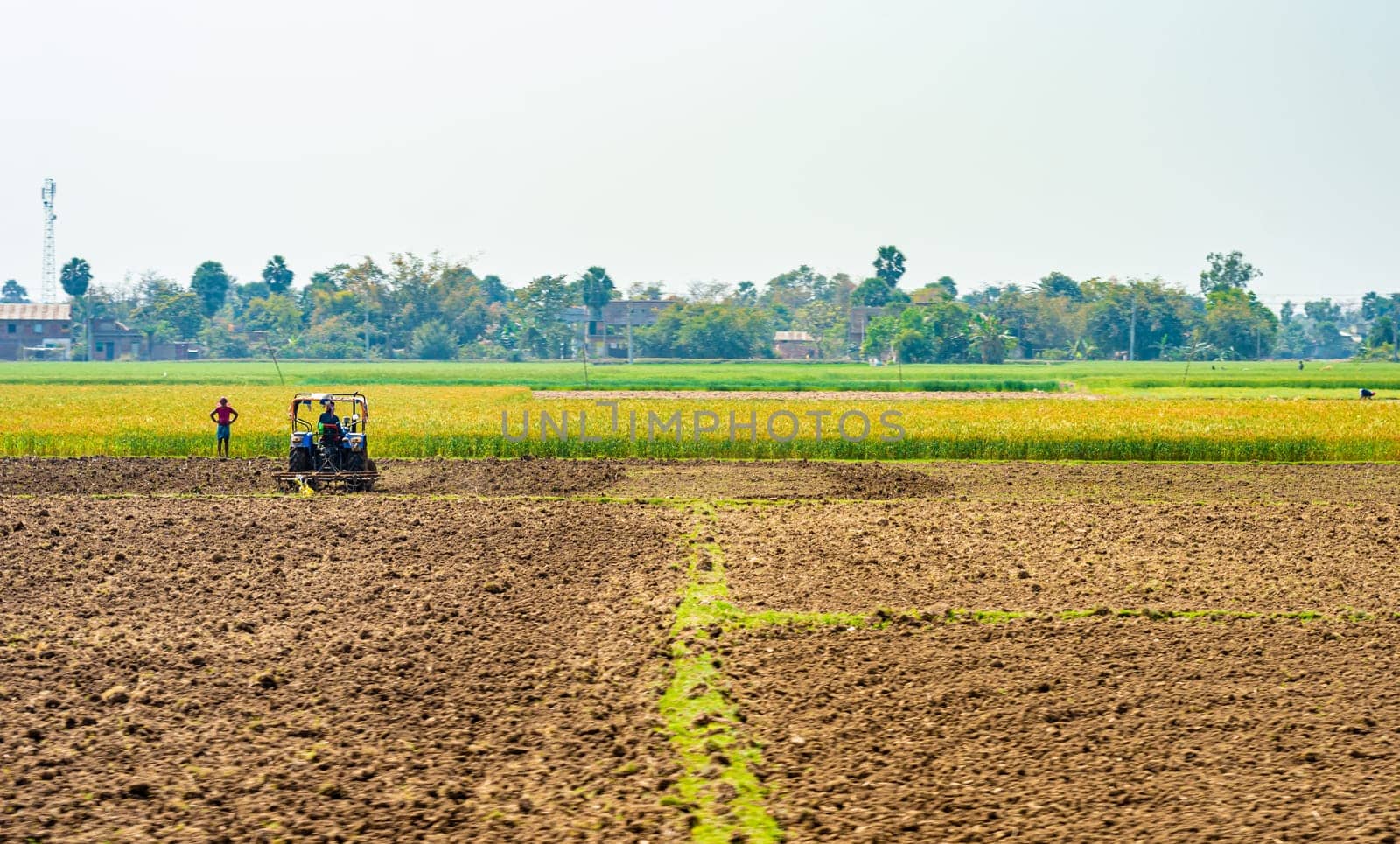 Agricultural field landscape view of rural india after harvest against clear sky background.