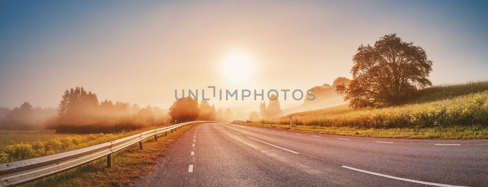 Sunrise in the foggy morning on the empty asphalt country winding road. Curve street in natural park.